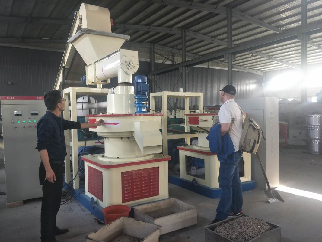 Bagasse Cow Dung Husk Peanut Shells Corn Stalks Melon Seed Shell Biomass Pellet Machine
